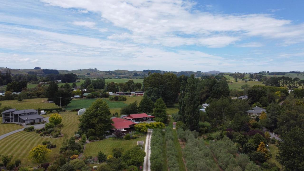 Olivista Bed and Breakfast Masterton Buitenkant foto