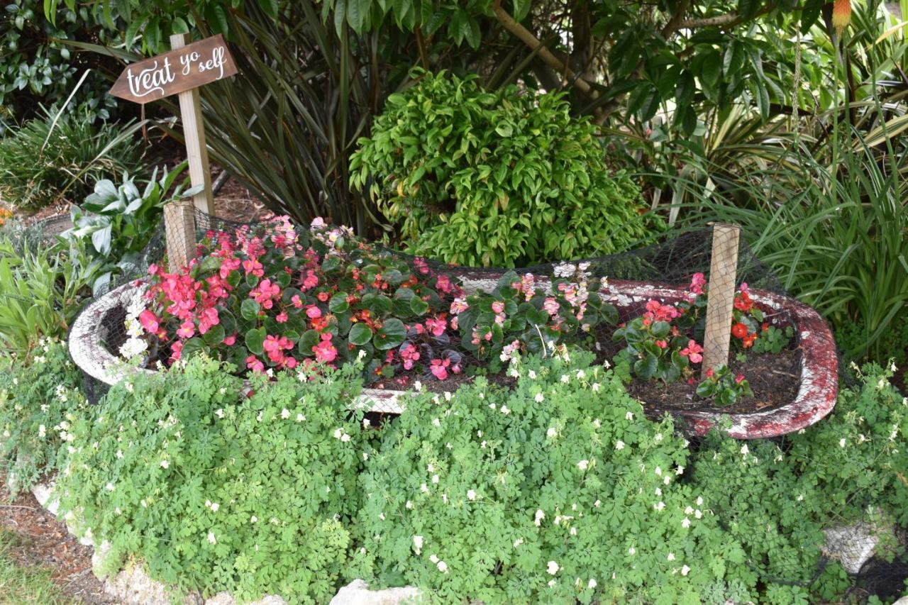 Olivista Bed and Breakfast Masterton Buitenkant foto