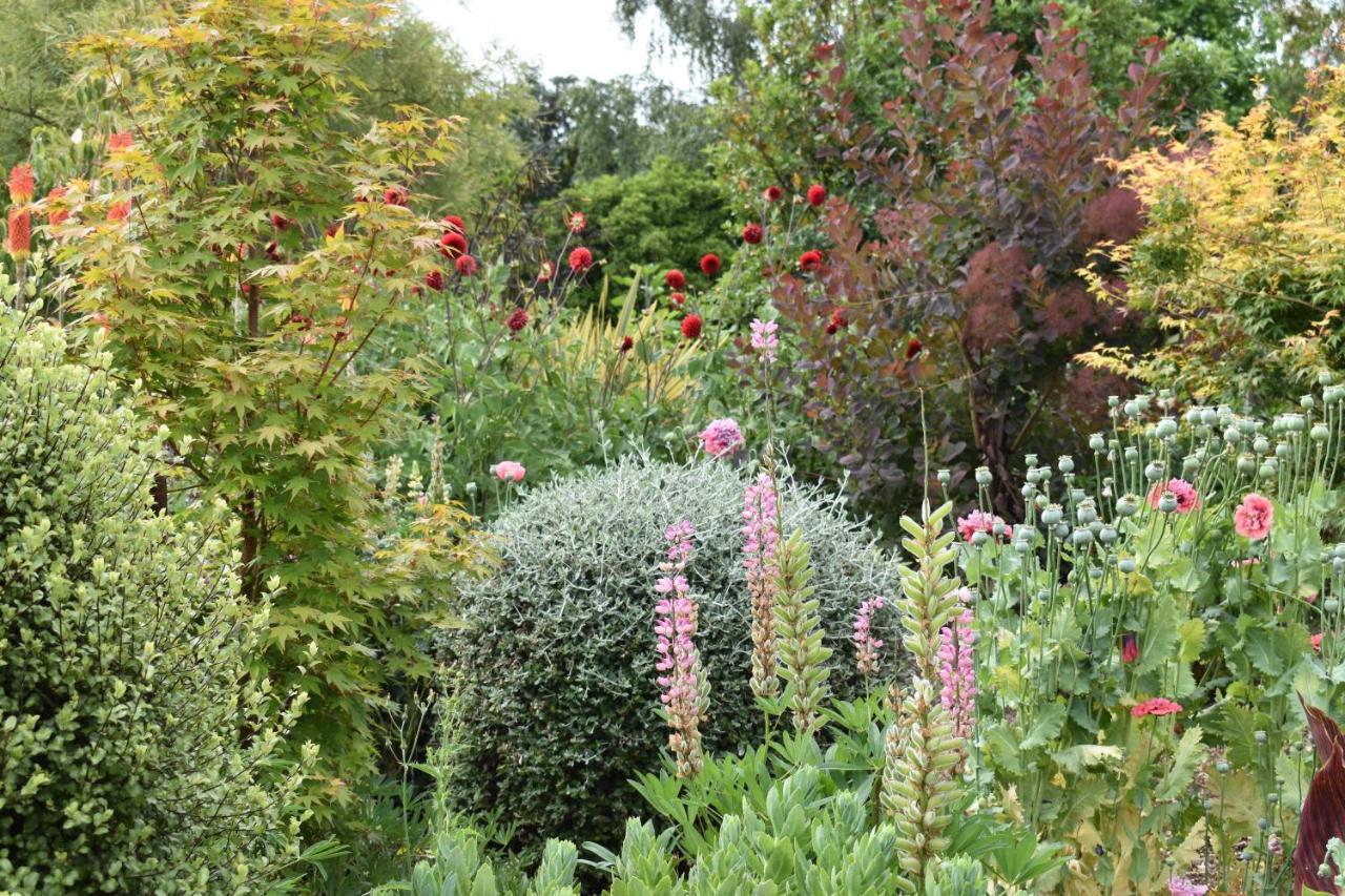Olivista Bed and Breakfast Masterton Buitenkant foto