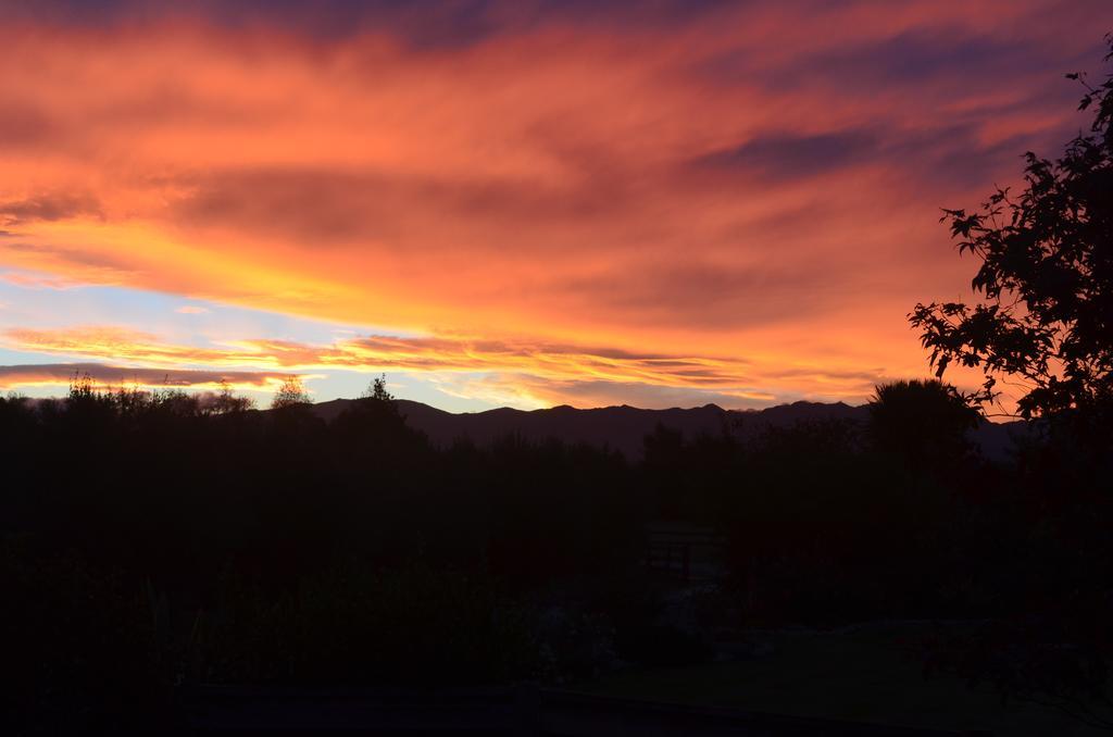 Olivista Bed and Breakfast Masterton Buitenkant foto
